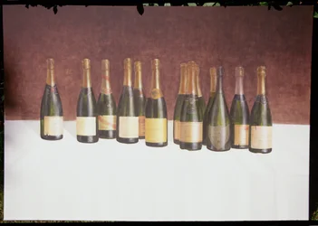 Weinlandschaft, Champagne, 2003